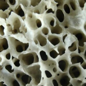 Calcium et vitamine D: conditions d&rsquo;utilisation floues