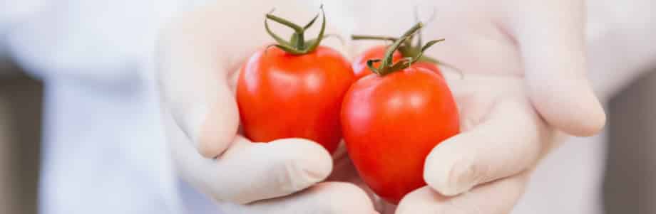 Un nouvel allergène identifié dans la tomate