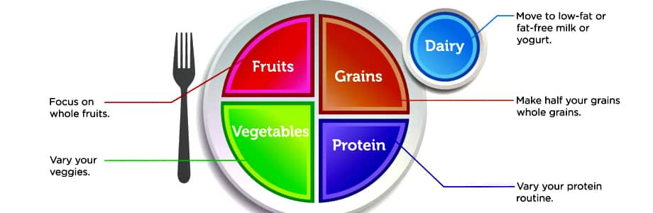bord-assiette-myplate-Foodinaction