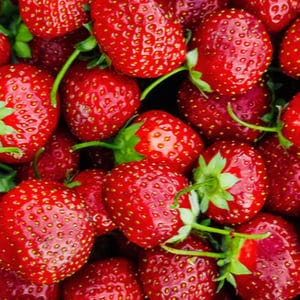 Les fraises pour lutter contre les effets de l&rsquo;alcool sur l&rsquo;estomac?