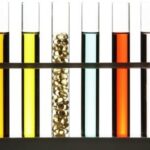 La mutation du récepteur des acides gras oméga-3 favorise l&rsquo;obésité