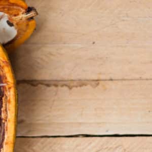 Eerste gezondheidsclaim voor chocolade
