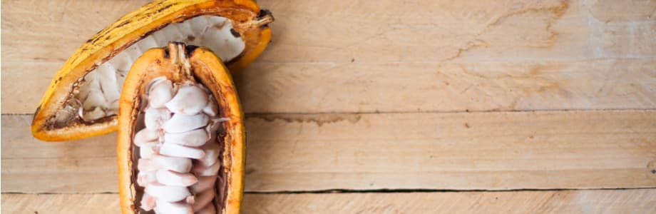 Une première allégation de santé pour le chocolat