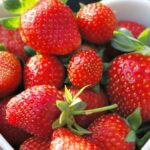 fraises UV