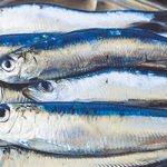 Te veel omega 3-vetzuren: wat zijn de risico’s?