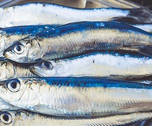 Te veel omega 3-vetzuren: wat zijn de risico’s?