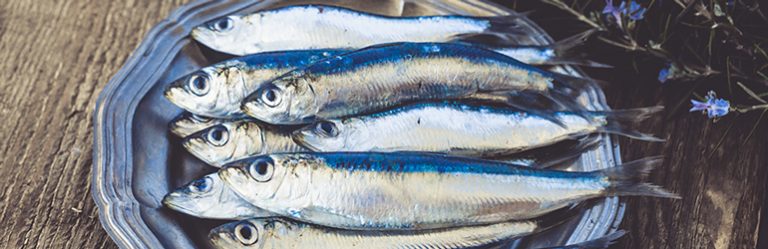 Te veel omega 3-vetzuren: wat zijn de risico’s?