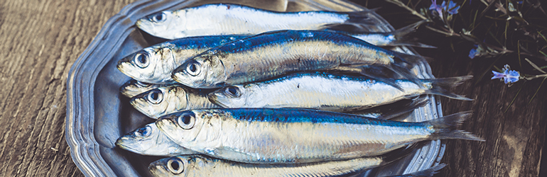Te veel omega 3-vetzuren: wat zijn de risico’s?
