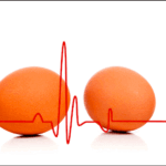 Cholesterol: eerherstel voor het ei?