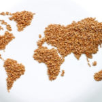 Moins de gaspillage alimentaire pour soutenir la croissance mondiale