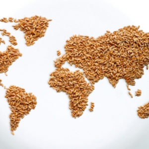 Moins de gaspillage alimentaire pour soutenir la croissance mondiale