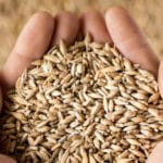Céréales: la tendance est au complet