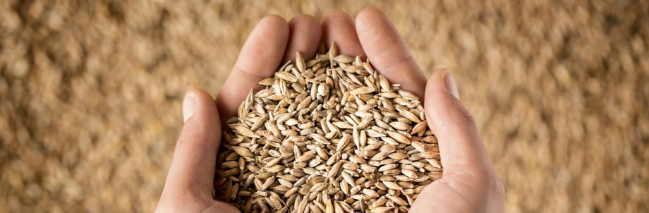 Céréales: la tendance est au complet