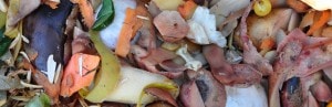 Le gaspillage alimentaire menace les ressources naturelles mondiales