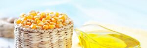 Cholesterol: maisolie beter dan olijfolie