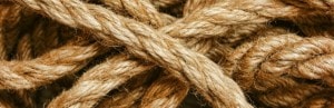 Un mécanisme de protection des fibres à l’égard du diabète décrypté