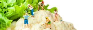 L&rsquo;alimentation combinée aux gènes peut prolonger la durée de vie