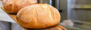 Brood: binnenkort een bron van vitamine D voor de Europeanen