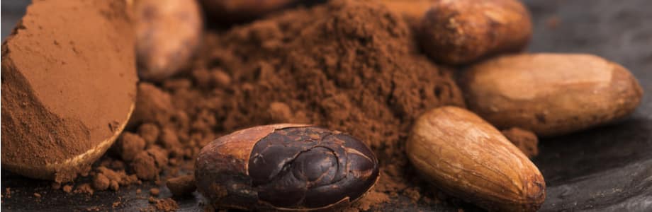 Du chocolat noir pour marcher plus vite et plus longtemps?