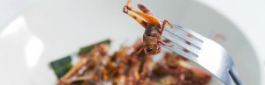 Qui est prêt à manger des insectes?
