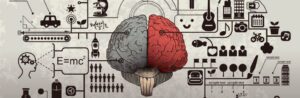 Les glucides ont contribué au développement du cerveau humain