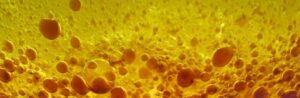 Sauce-émulsion-mayonnaise-satiété_920