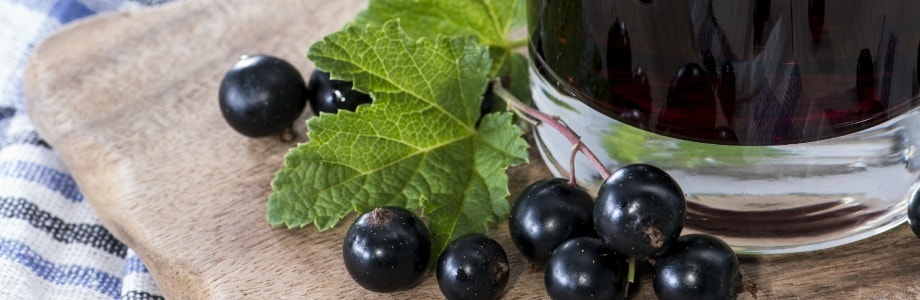 Des extraits de cassis améliorent l’humeur!