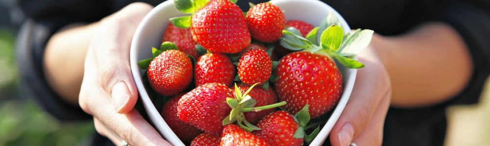 Des fraises pour se protéger des rayons ultra-violets