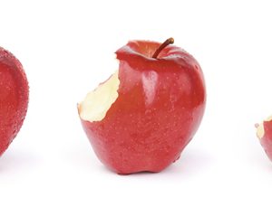La dénutrition menace les seniors