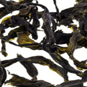 Les nouvelles sources de protéines