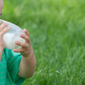Facteurs de croissance du lait et cancer: peu de risque selon l&rsquo;Anses