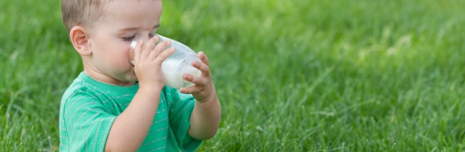 Facteurs de croissance du lait et cancer: peu de risque selon l&rsquo;Anses