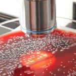 Chaleur et précipitations extrêmes augmentent le risque de salmonellose