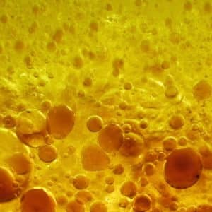 La science de l’effet des sauces sur la satiété
