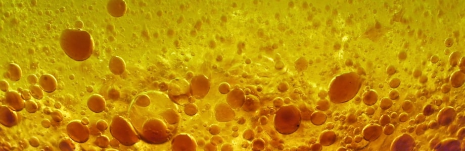La science de l’effet des sauces sur la satiété