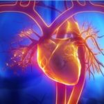 Plus l&rsquo;obésité dure, plus la maladie cardiaque s&rsquo;installe en silence