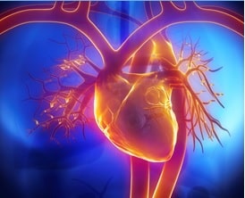 Plus l&rsquo;obésité dure, plus la maladie cardiaque s&rsquo;installe en silence