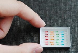 Sécurité alimentaire: bientôt le test rapide qui détecte l&rsquo;E.coli