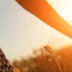Vitamine D: un marqueur de la dépression en cas d’insuffisance cardiaque?