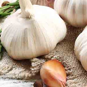 Oude knoflook zou meer antioxidanten bevatten dan verse