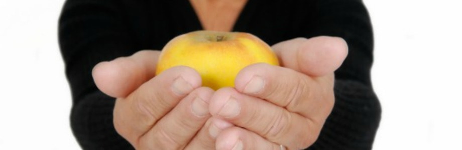 Existe-t-il une alimentation anti-cancer?
