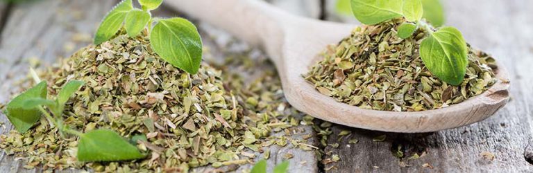 Oregano, niet enkel op je pizza!