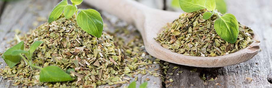 L’origan, bien plus qu’un aromate à pizza