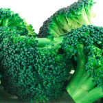 Le brocoli surgelé moins riche en sulforaphane que le frais