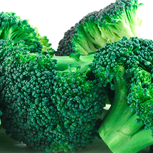 Diepvriesbroccoli minder rijk aan sulforafaan dan verse