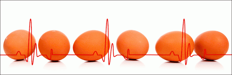Cholesterol: eerherstel voor het ei?