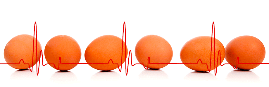Cholesterol: eerherstel voor het ei?