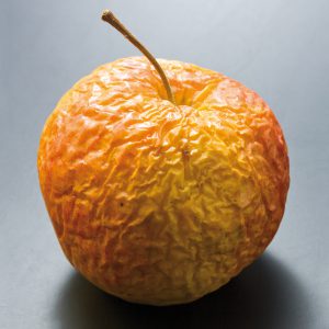 Ondervoeding overschaduwt de gezondheid van senioren