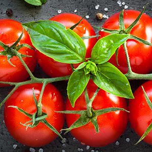 Un effet de type aspirine dans la tomate