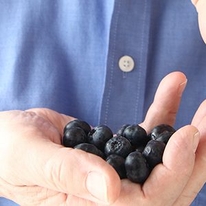 Flavonoïden zouden risico op erectiestoornissen verminderen